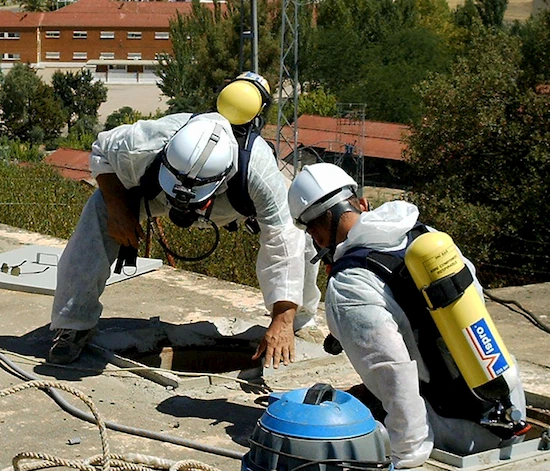 Empresa de control de plagas en Extremadura, desratización en Cáceres Badajoz Mérida