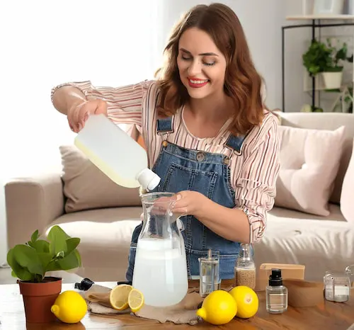 ¿Son efectivos los remedios caseros para eliminar termitas?